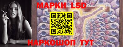 Альфа ПВП Новодвинск