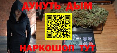 Альфа ПВП Новодвинск