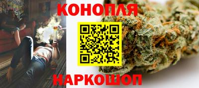 Альфа ПВП Новодвинск