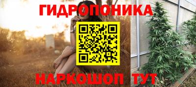 Альфа ПВП Новодвинск