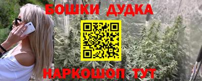 Альфа ПВП Новодвинск