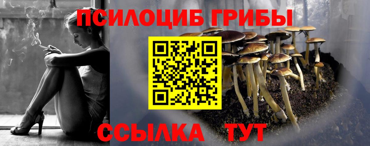 Великие Луки  Галлюциногенные грибы GOLDEN TEACHER  Вход с VPN 